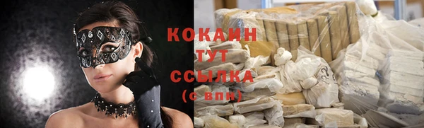 прущие крисы Бородино
