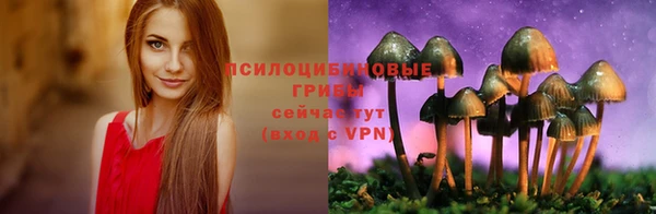 прущие крисы Бородино