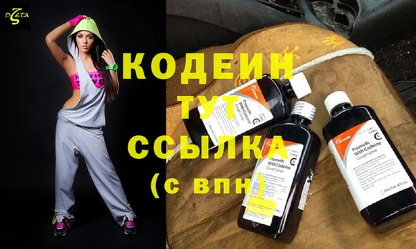 прущие крисы Бородино