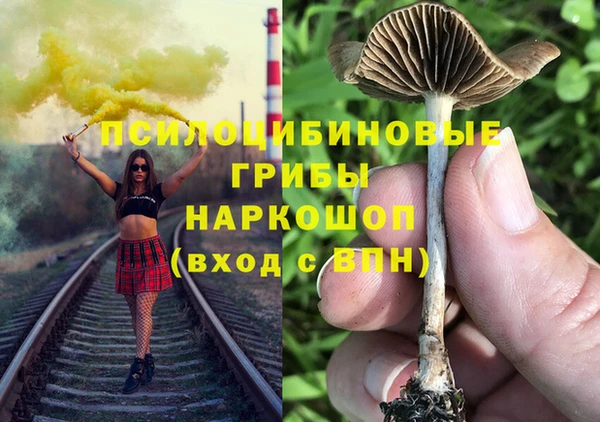 прущие крисы Бородино
